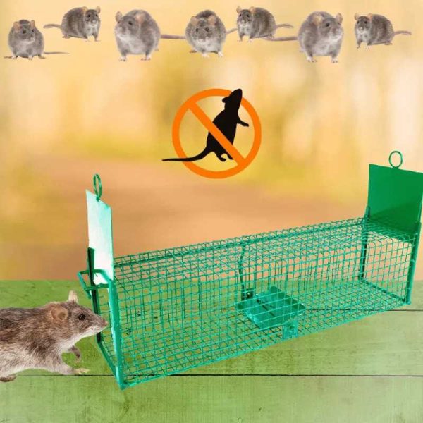 Élvefogó Patkánycsapda, Kétajtós, Zöld, 50 cm – Humánus Rágcsálómentesítés