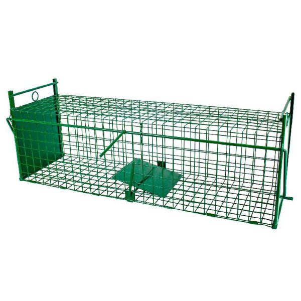 Élvefogó Nyest/Görény/ Csapda, Kétajtós, zöld, 70 cm – Humánus Kisragadozó mentesítés