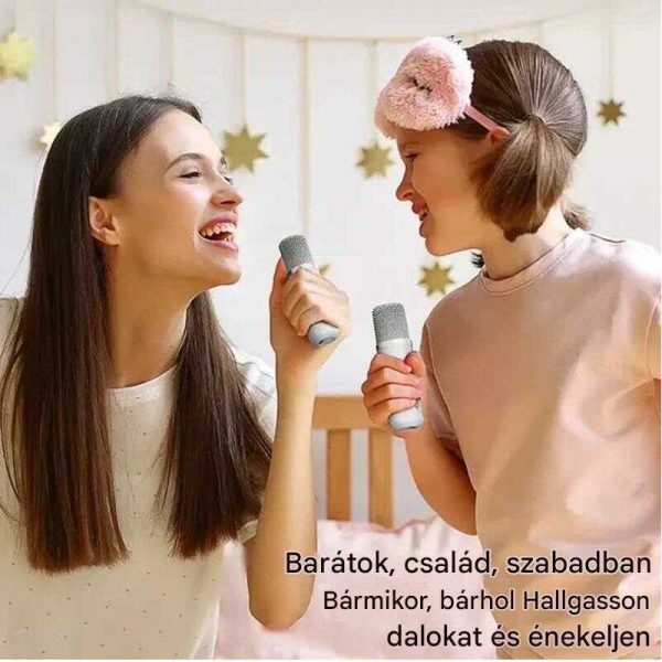 YS-110 Karaoke hangszóró