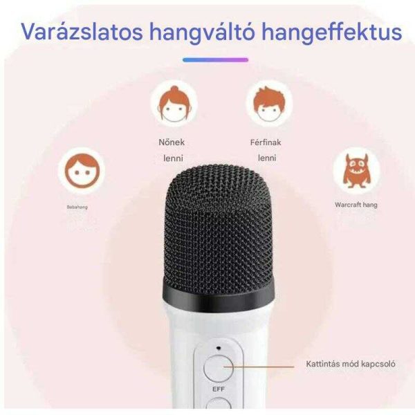YS-110 Karaoke hangszóró