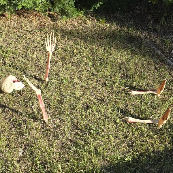 Leszúrható csontváz dekoráció szett halloweenra, 5 db-os