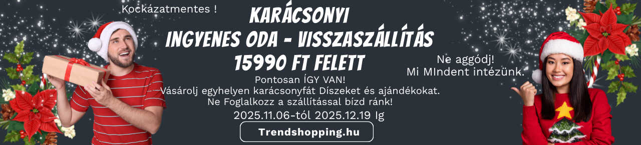 karácsonyi ingyenes szállítás akció